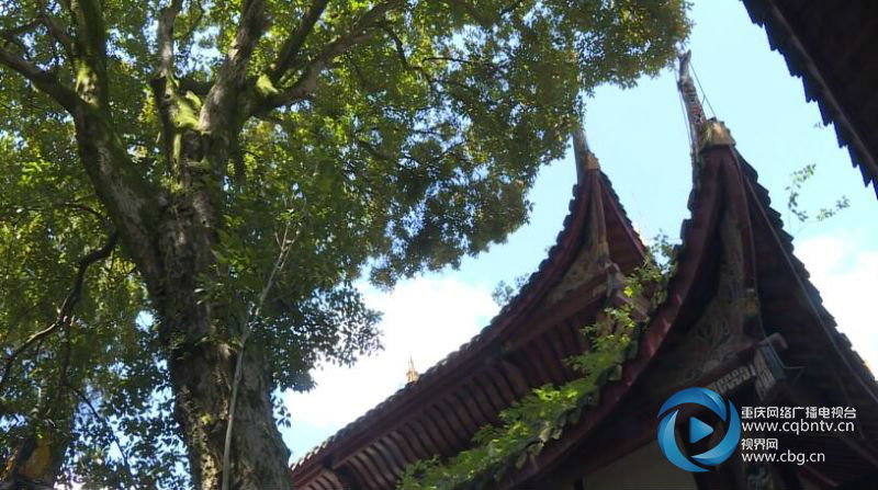 微信圖片_20180722120324